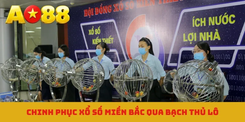 Chinh phục xổ số miền Bắc qua bạch thủ lô