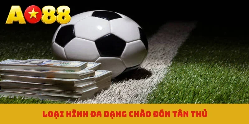 Loại hình đa dạng chào đón tân thủ