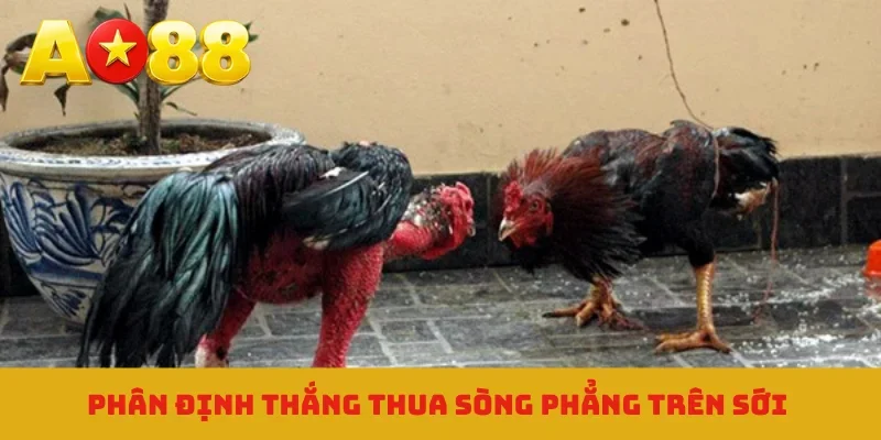 Phân định thắng thua sòng phẳng trên sới