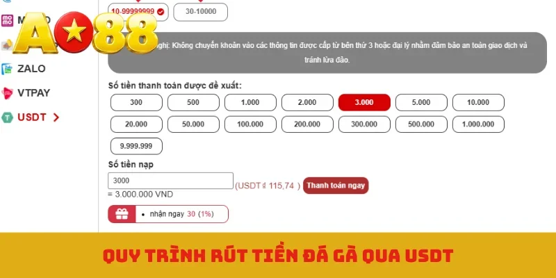 Quy trình rút tiền đá gà qua USDT