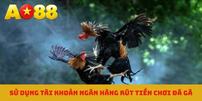 Sử dụng tài khoản ngân hàng rút tiền chơi đá gà
